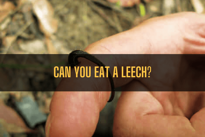 Can you eat a Leech